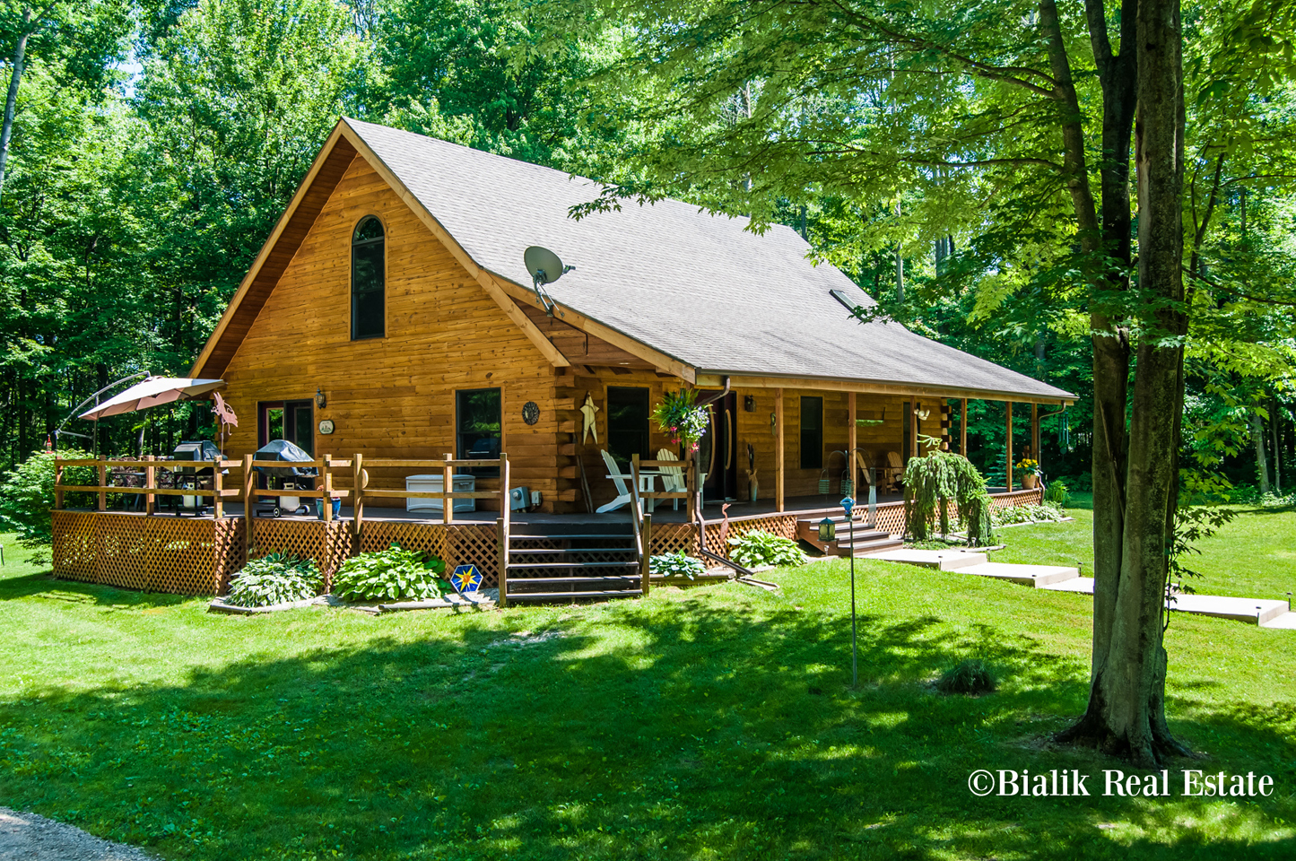 5494 Timpson Alto MI 5 bed log cabin home for sale