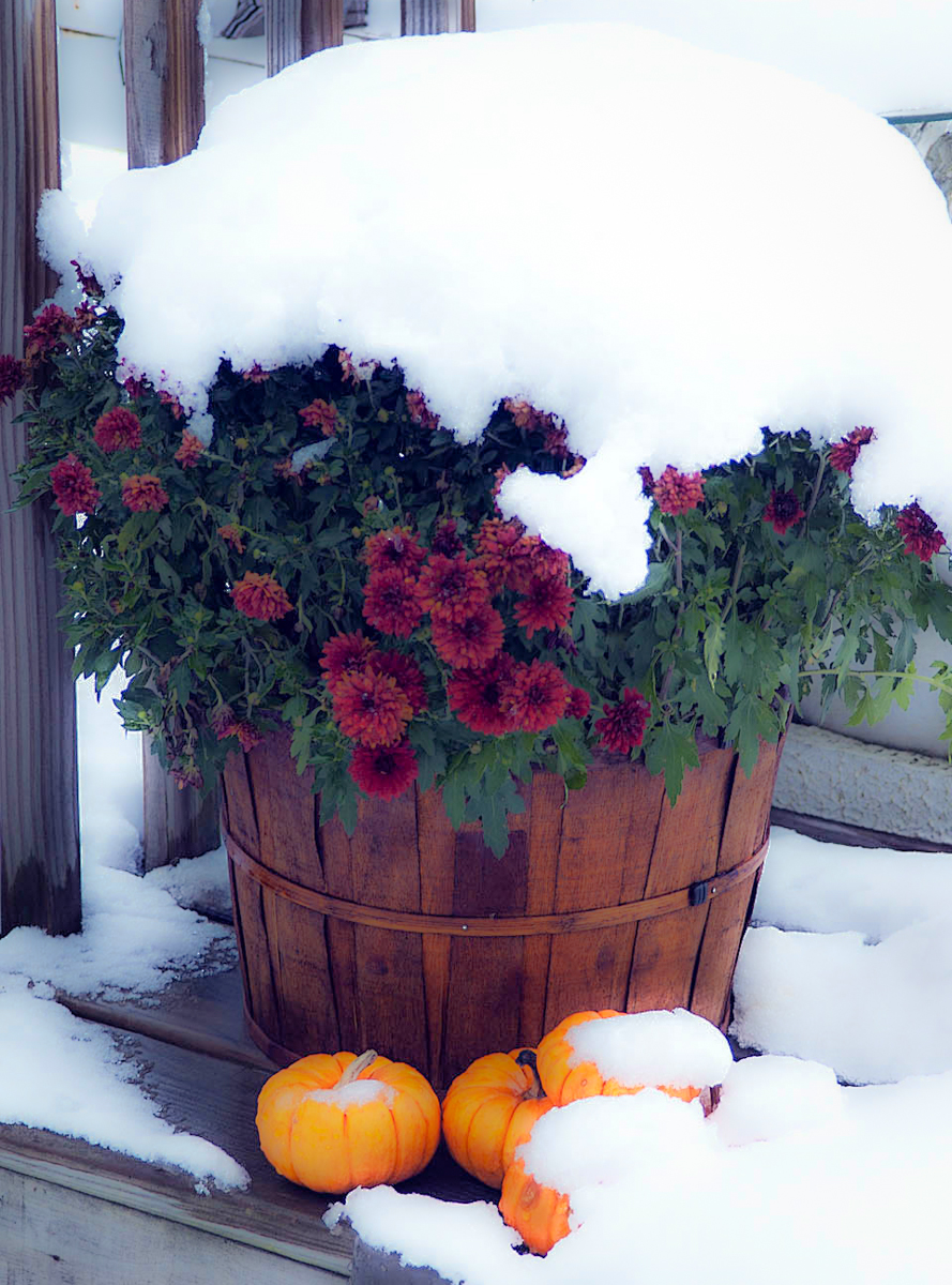 selling your home in winter