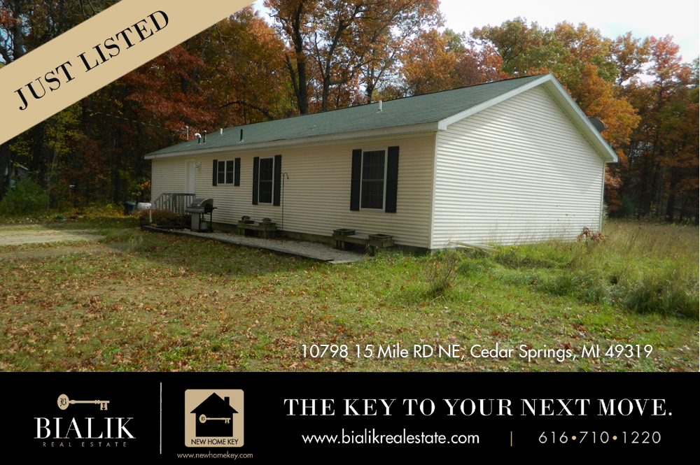 home for sale 100798 15 Mile RD NE Cedar Springs