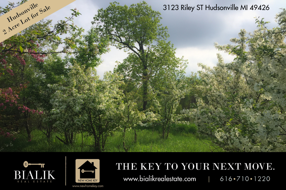LOT FOR SALE_3123 Riley ST Hudsonville MI 49426