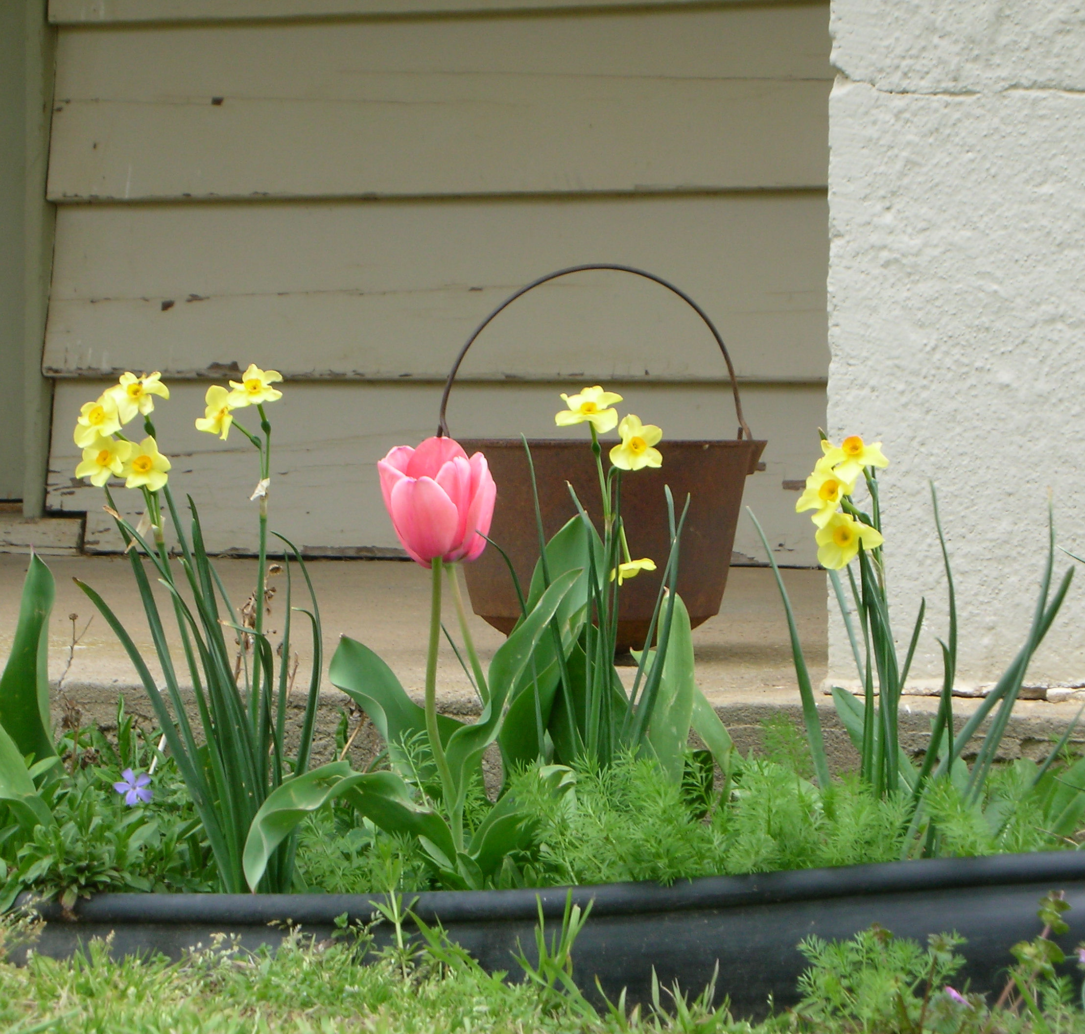 Getting your home ready to sell this spring